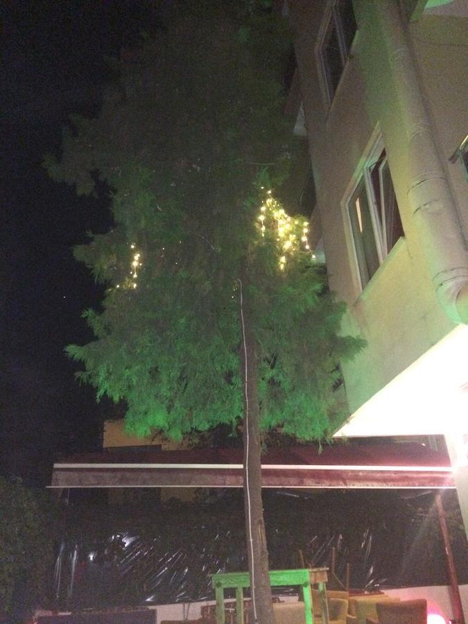Alanya Demir Hotel ภายนอก รูปภาพ